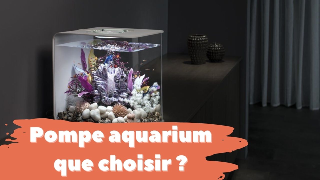 EHEIM - Aquaball 60 - Filtre interne aquarium jusqu'à 60 litres